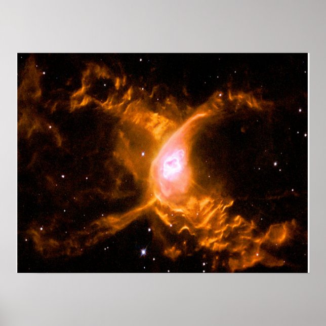 Giant Spider Nebula | Spider Lovers Gift Poster (Front)