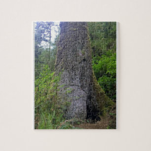 Giant Spruce Tree, Cape Perpetua, Oregon Jigsaw Puzzle
