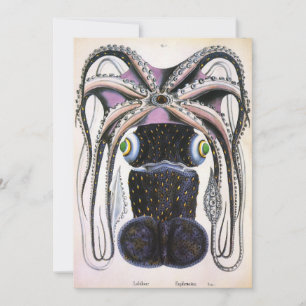 Giant Squid or Octopus, Vintage Marine Life Animal