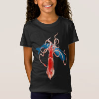 Giant Squid vs. Whale