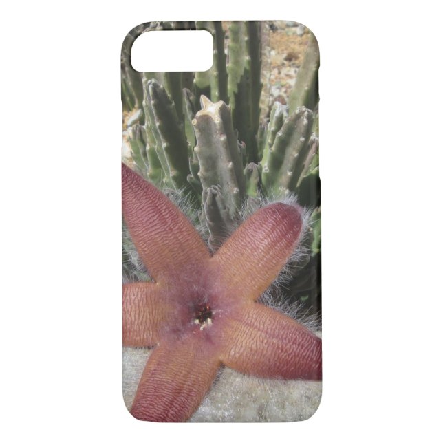 Giant Starfish Cactus Case-Mate iPhone Case (Back)