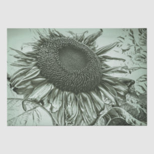 Giant Sunflower Light Green Vintage Antique Art Tissue Paper