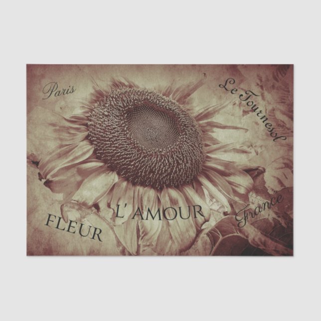 Giant Sunflower Sepia Brown Vintage Ephemera Tissue Paper (Front)