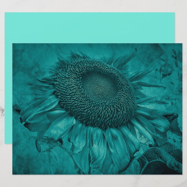 Giant Sunflower Teal Blue Vintage Antique (Front/Back)