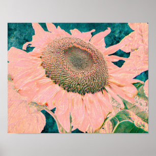 Giant Sunflower Vintage Pink Green Country Art Poster