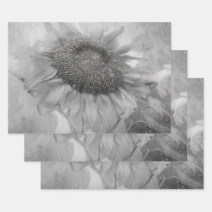 Giant Sunflower Vintage Style Black And White Art Wrapping Paper Sheet