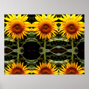Giant Sunflower, yellow flowers pattern Poster