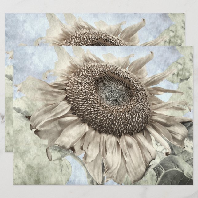 Giant Sunflower Yellow Pastel Chic Vintage Antique (Front/Back)