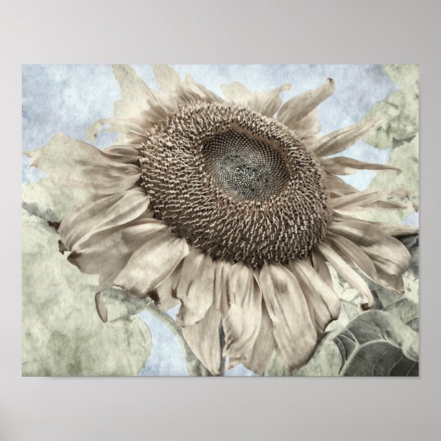 Giant Sunflower Yellow Pastel Chic Vintage Antique Poster (Front)