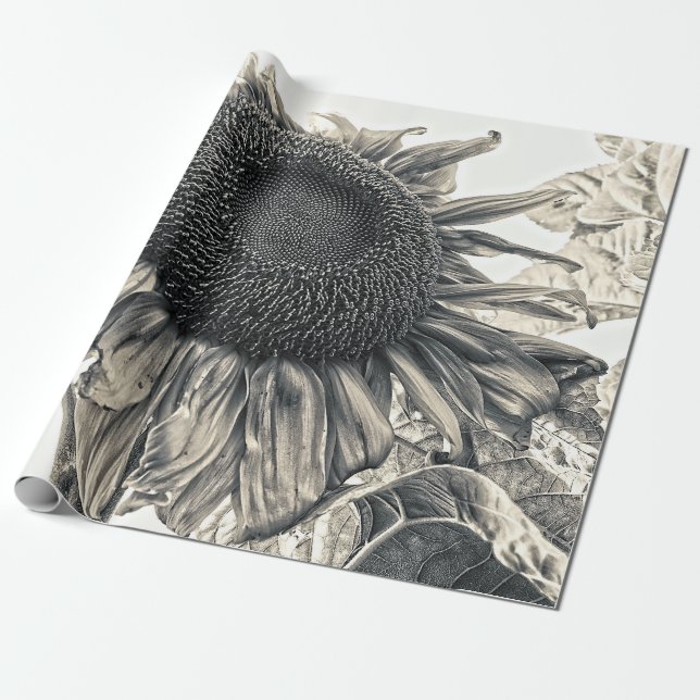 Giant Sunflowers Antique Vintage Sepia Art Wrapping Paper (Unrolled)