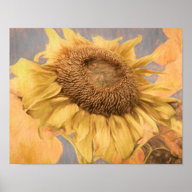 Giant Sunflowers Country Yellow Grey Decoupage Art Poster (Front)
