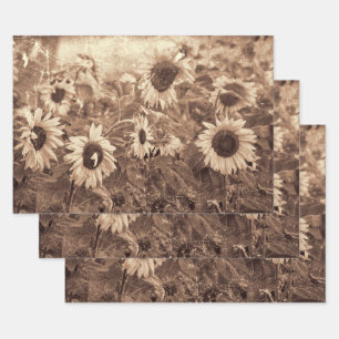 Giant Sunflowers Floral Sepia Texture Decoupage Wrapping Paper Sheet