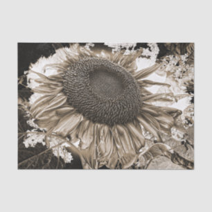 Giant Sunflowers Rustic Sepia Tone Vintage Tissue Paper