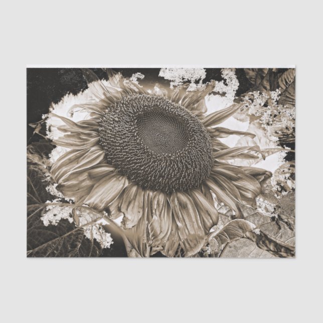 Giant Sunflowers Rustic Sepia Tone Vintage Tissue Paper (Front)