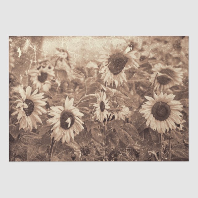 Giant Sunflowers Sepia Floral Texture Decoupage Tissue Paper (Front)