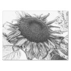 Giant Sunflowers Vintage Black And White Art