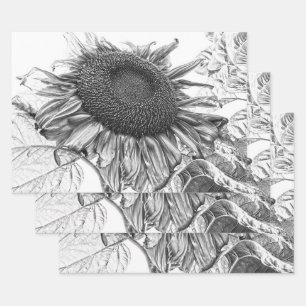 Giant Sunflowers Vintage Black And White Art Wrapping Paper Sheet
