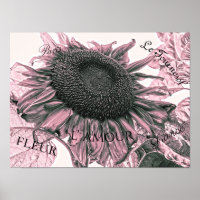 Giant Sunflowers Vintage Blush Pink Script Art