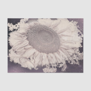 Giant Sunflowers Vintage Purple Sepia Vignette Tissue Paper