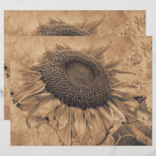 Giant Sunflowers Vintage Sepia Brown Decoupage Art