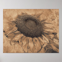 Giant Sunflowers Vintage Sepia Brown Floral Art