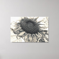Giant Sunflowers Vintage Sepia Decoupage Art
