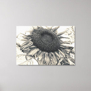 Giant Sunflowers Vintage Sepia Decoupage Art Canvas Print