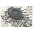 Giant Sunflowers Vintage Sepia Decoupage Art