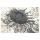 Giant Sunflowers Vintage Sepia Decoupage Art