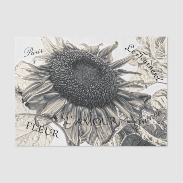 Giant Sunflowers Vintage Sepia Decoupage Ephemera Tissue Paper (Front)