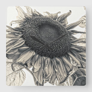 Giant Sunflowers Vintage Sepia Floral Art Square Wall Clock