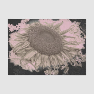 Giant Sunflowers Vintage Sepia Pink Black Vignette Tissue Paper