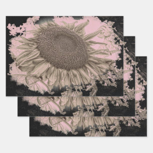 Giant Sunflowers Vintage Sepia Pink Black Vignette Wrapping Paper Sheet