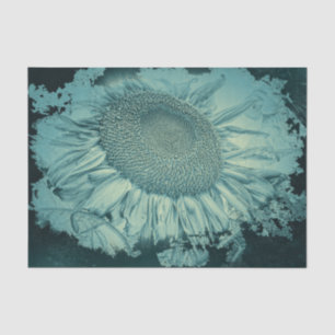 Giant Sunflowers Vintage Teal Vignette Texture Tissue Paper