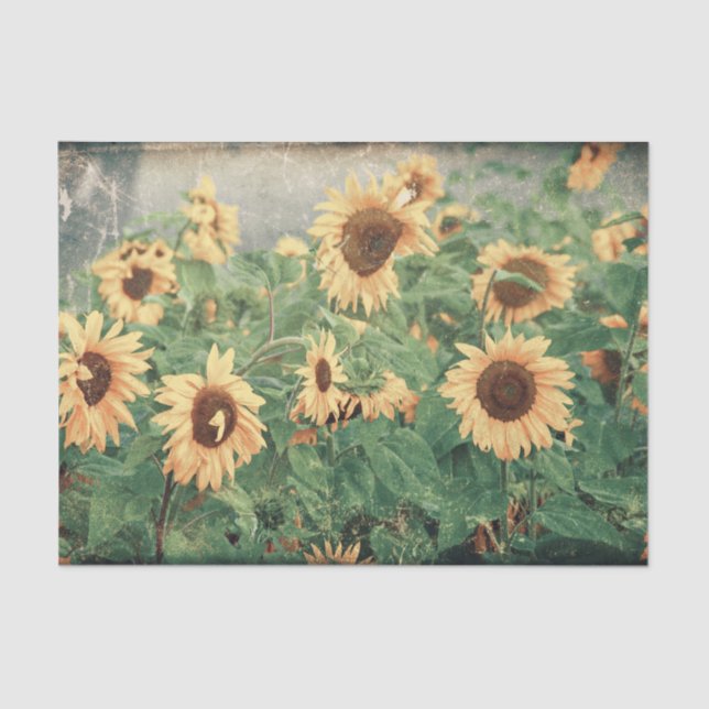 Giant Sunflowers Yellow Decoupage Art Floral Tissue Paper (Front)