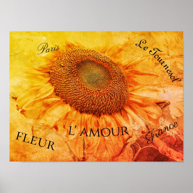 Giant Sunflowers Yellow Grunge Vintage Script Poster (Front)