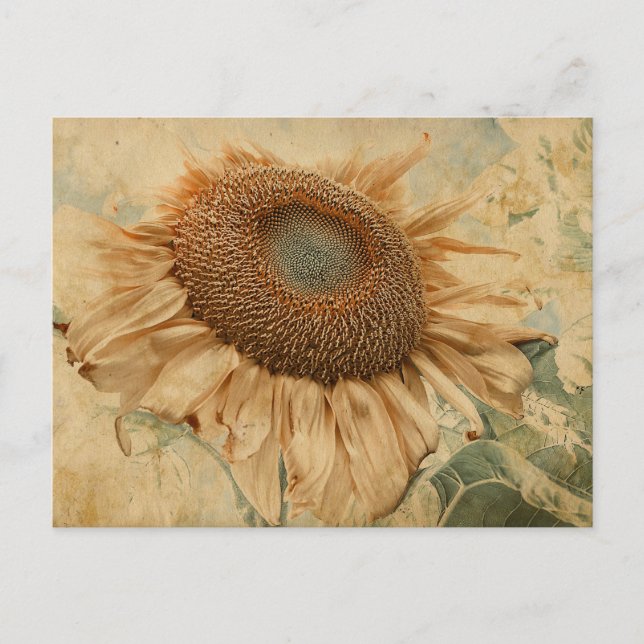 Giant Sunflowers Yellow Old Vintage Decoupage Art Postcard (Front)