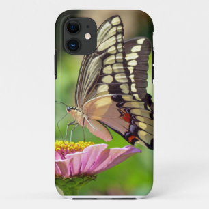 Giant Swallowtail Butterfly iPhone 11 Case