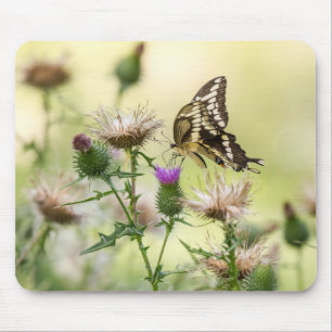 Giant Swallowtail Butterfly Mouse Mat