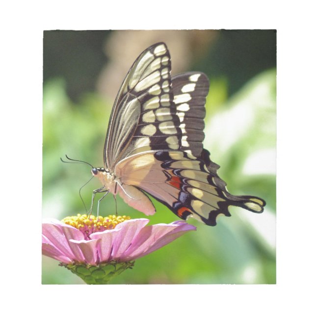 Giant Swallowtail Butterfly Notepad (Front)