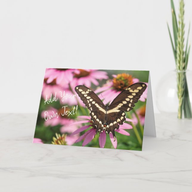 Giant Swallowtail Card (Front)