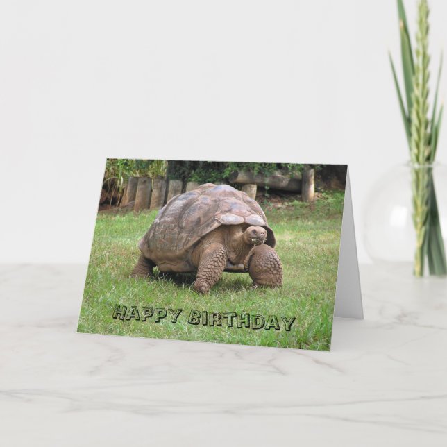 Giant Tortoise Greeting Card (Front)