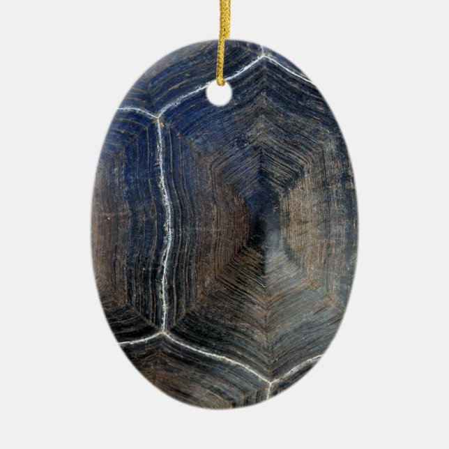 Giant tortoise shell detail Galapagos Ceramic Tree Decoration (Front)