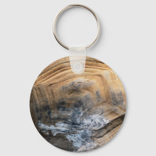GIANT TORTOISE SHELL KEY RING