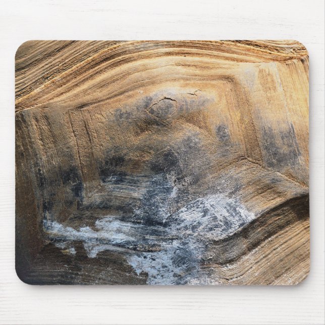 GIANT TORTOISE SHELL MOUSE MAT (Front)