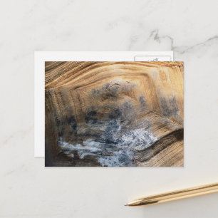 GIANT TORTOISE SHELL POSTCARD