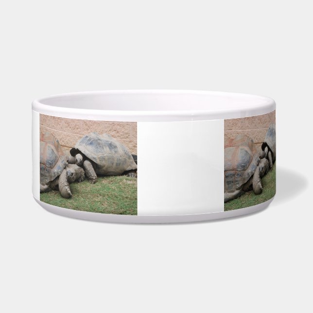 giant tortoises (Left)