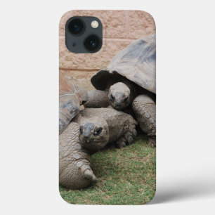 giant tortoises iPhone 13 case