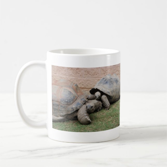 giant tortoises coffee mug (Left)