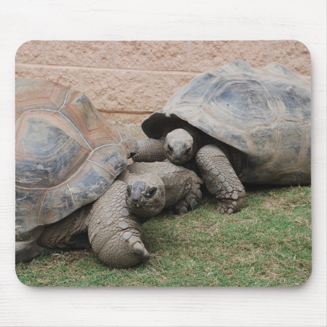 giant tortoises mouse mat (Front)